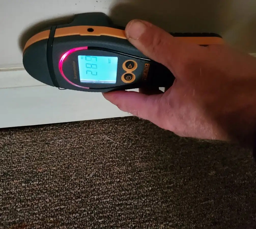 Moisture detection at baseboard during Sewage Cleanup & Sanitation in Worthington